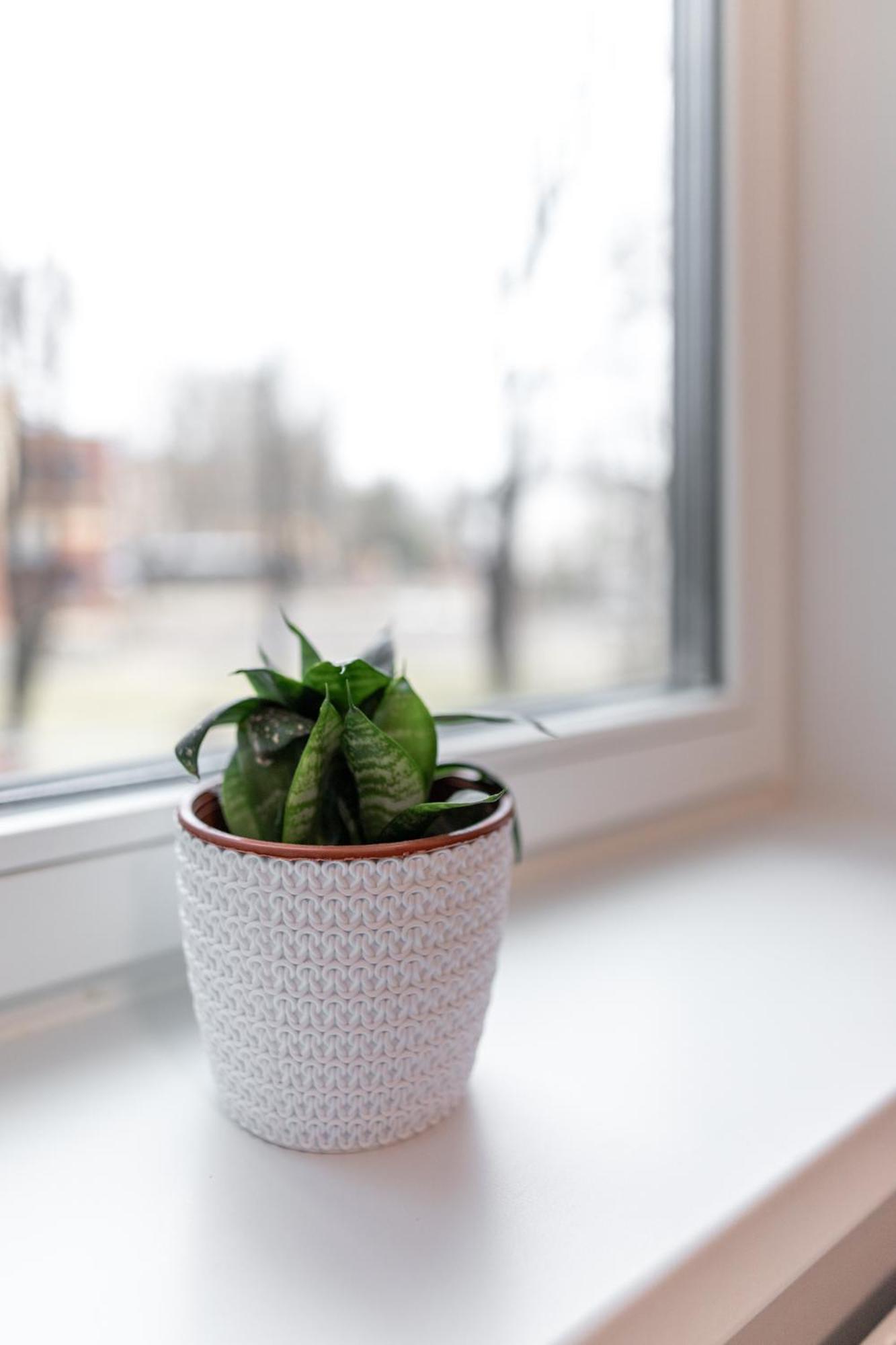 Pepleri Studio 29 Tartu Exteriör bild